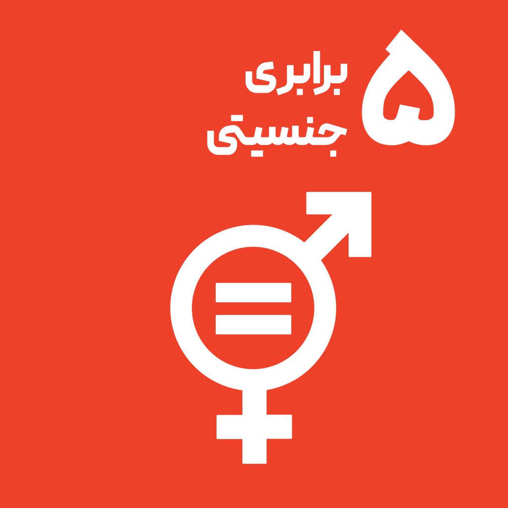 اهداف توسعه پایدار سازمان ملل برابری جنسیتی