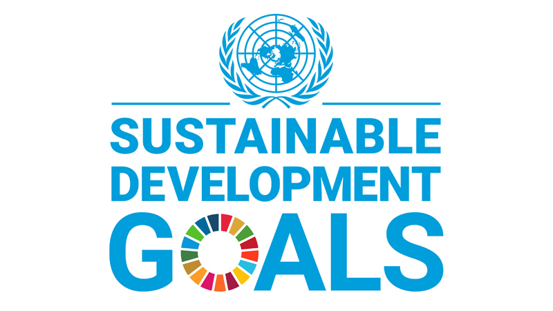 sdg چیست